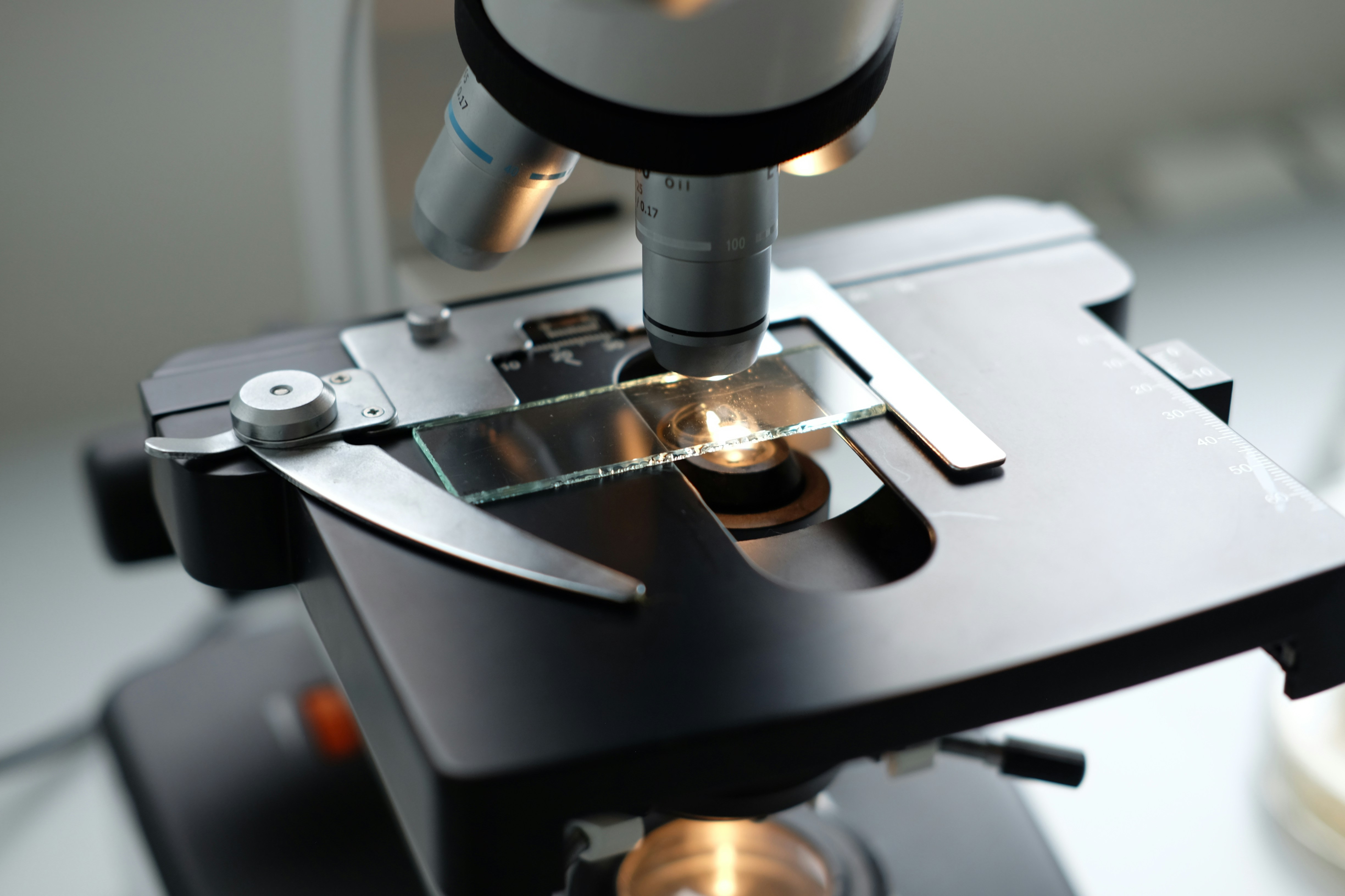 Observatoires mondiaux de l’AMD